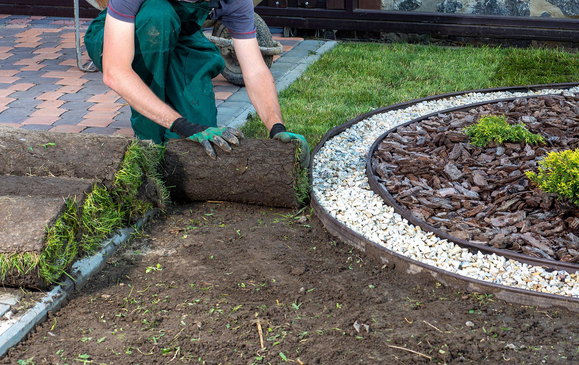 Landscaping and Tree Removal