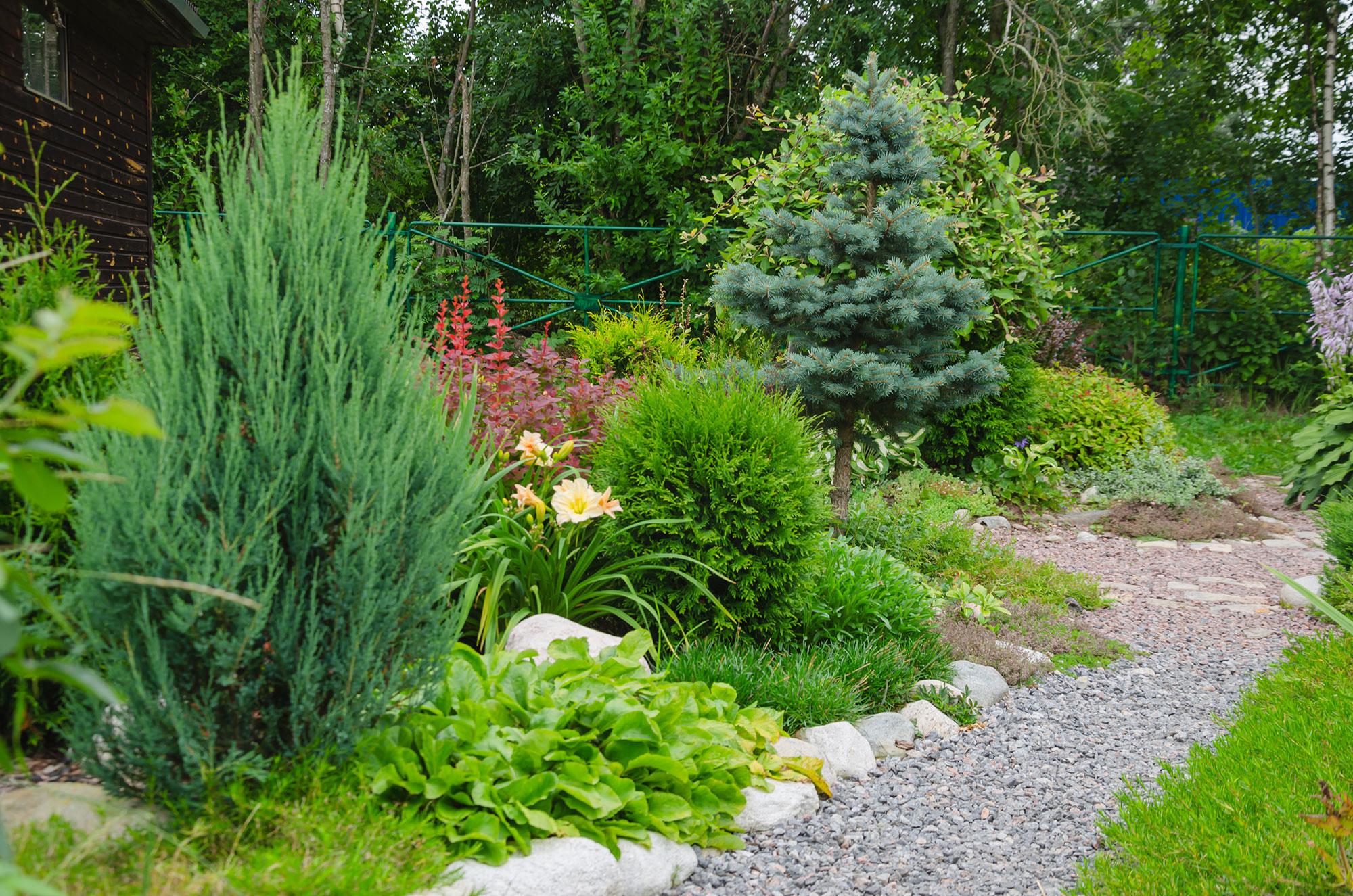 Garden Landscaping